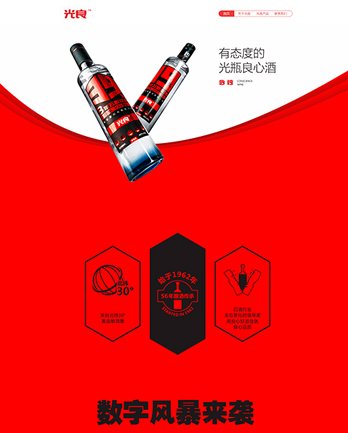网站数据加密